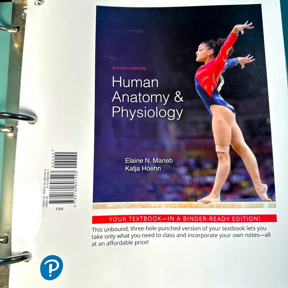 Human Anatomy & Physiology Textbook in a Binder 11th edition by Marieb and Hoehn
